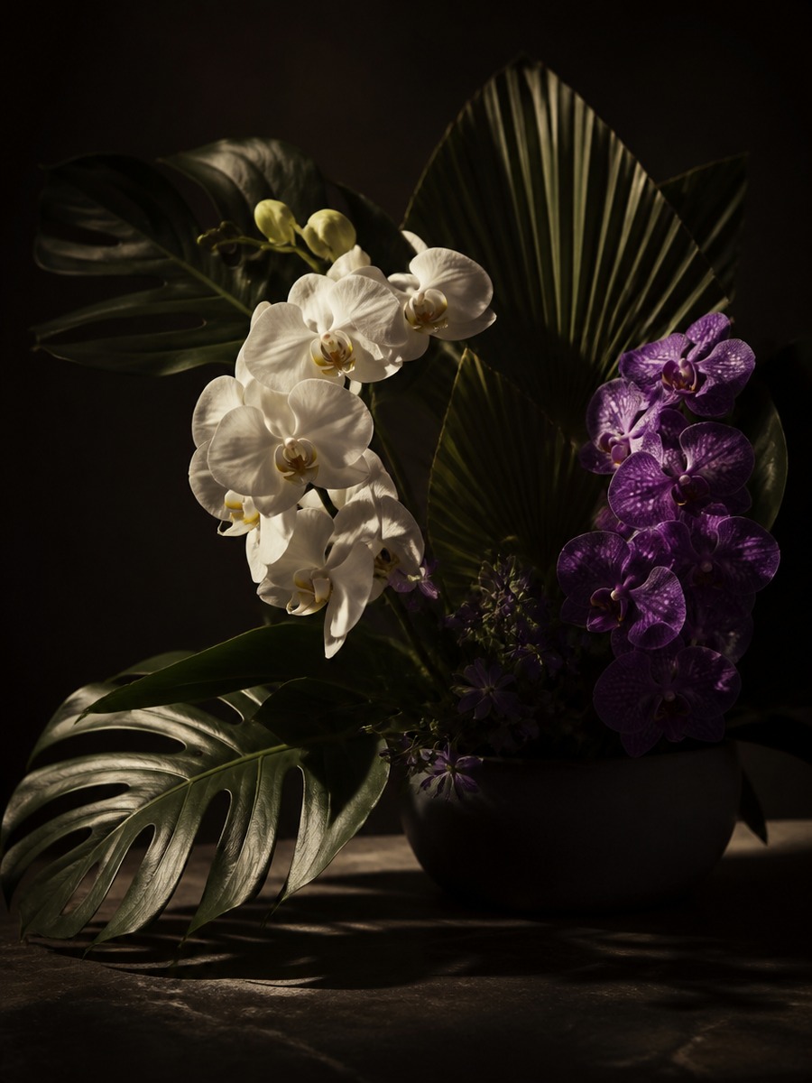 The The Vanda